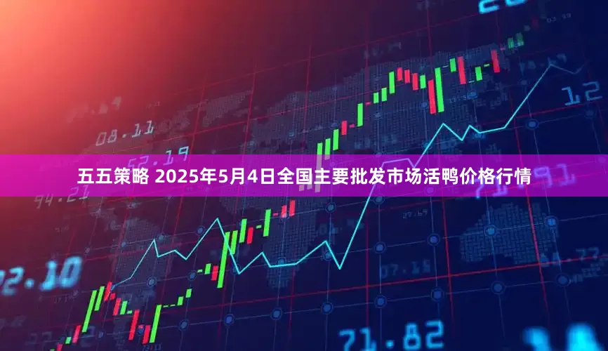五五策略 2025年5月4日全国主要批发市场活鸭价格行情
